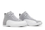 Air Jordan 12 ‘Stealth’ CT8013-015